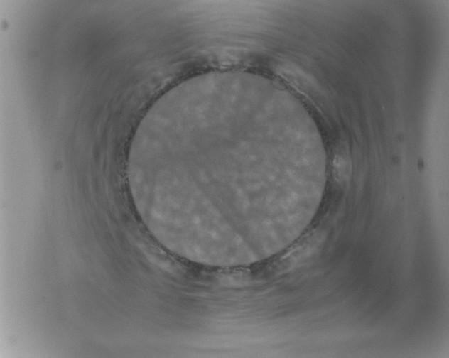 X0000071780865200607282235