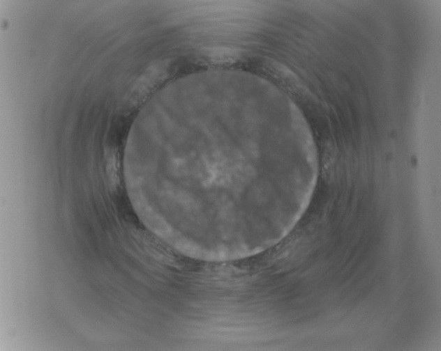 X0000071780866200607282235