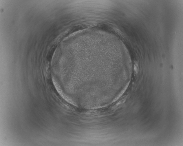 X0000071780867200607282235