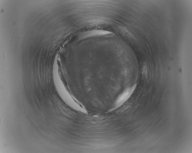 X0000071780868200607282235