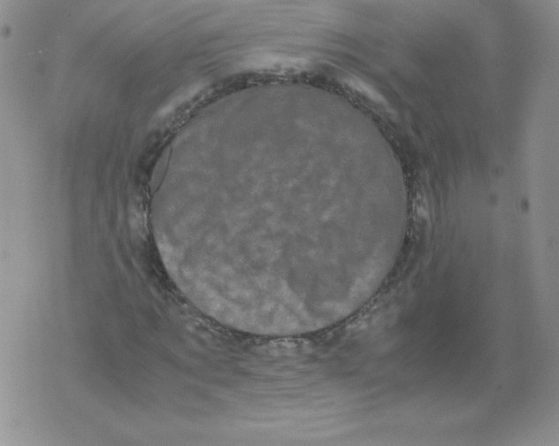 X0000071780869200607282235