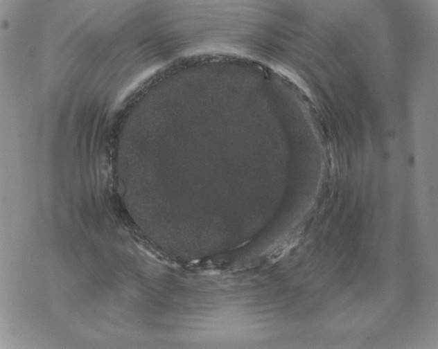 X0000071780872200607282235