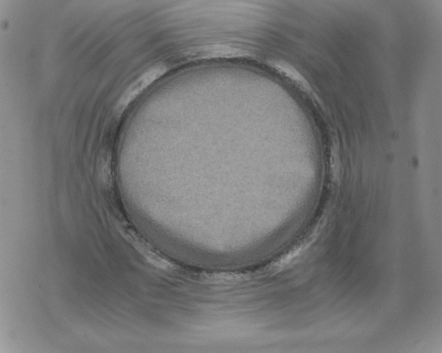 X0000071780873200607282235