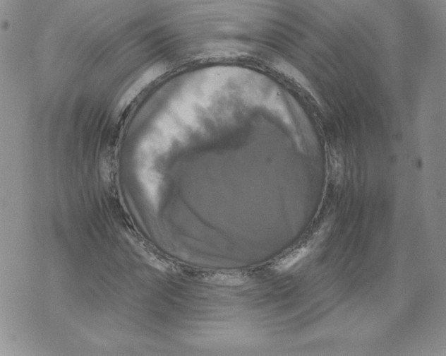 X0000071780874200607282235