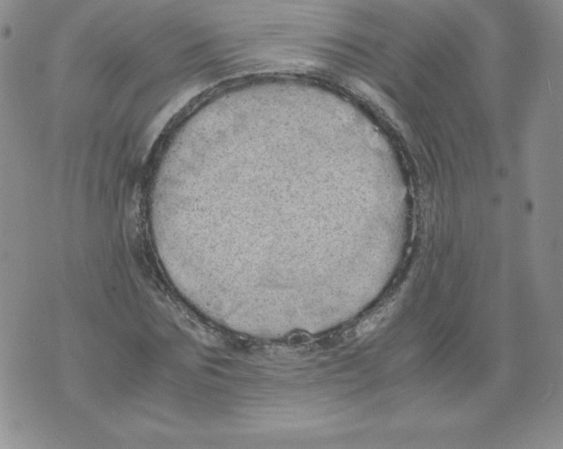 X0000071780875200607282235