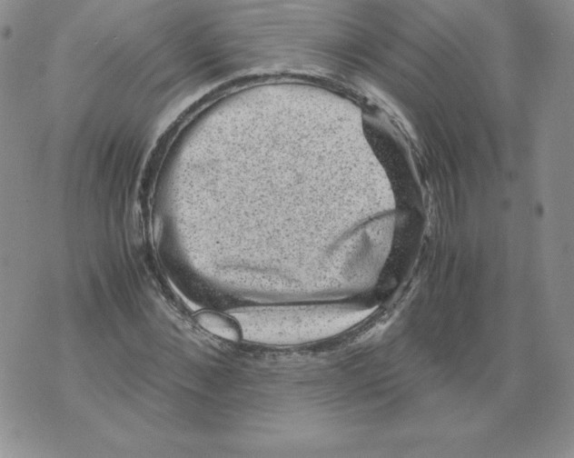 X0000071780876200607282235