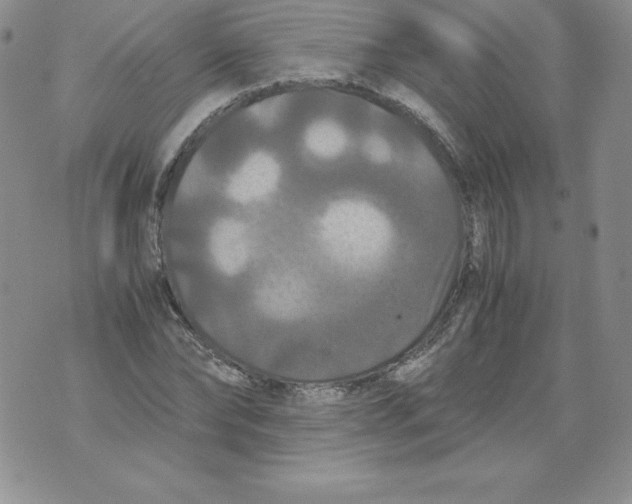 X0000071780878200607282235