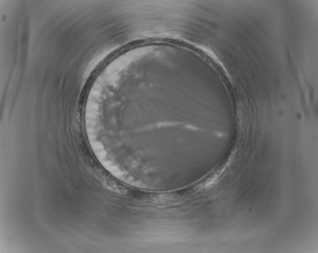 X0000071780879200607282235