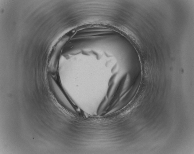 X0000071780880200607282235