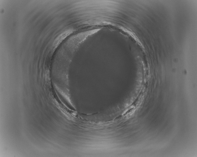 X0000071780881200607282235