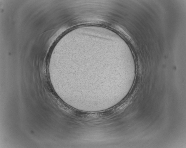 X0000071780883200607282235