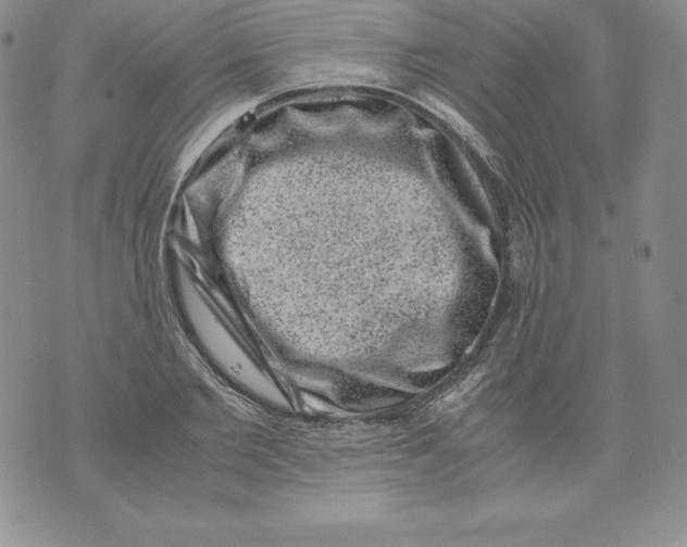 X0000071780885200607282235