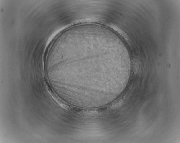 X0000071780886200607282235