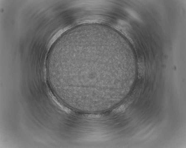 X0000071780890200607282235