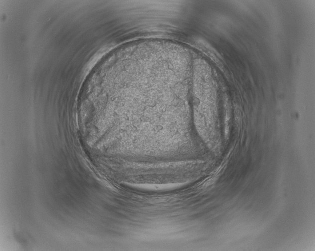 X0000071780891200607282235