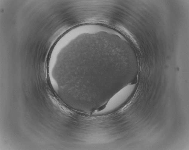 X0000071780892200607282235