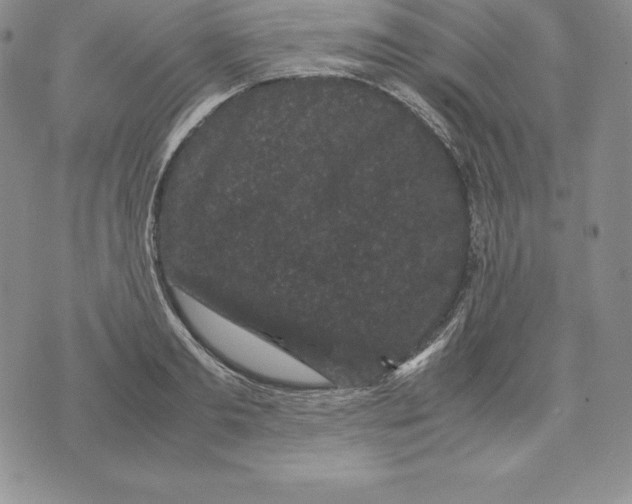 X0000071780893200607282235