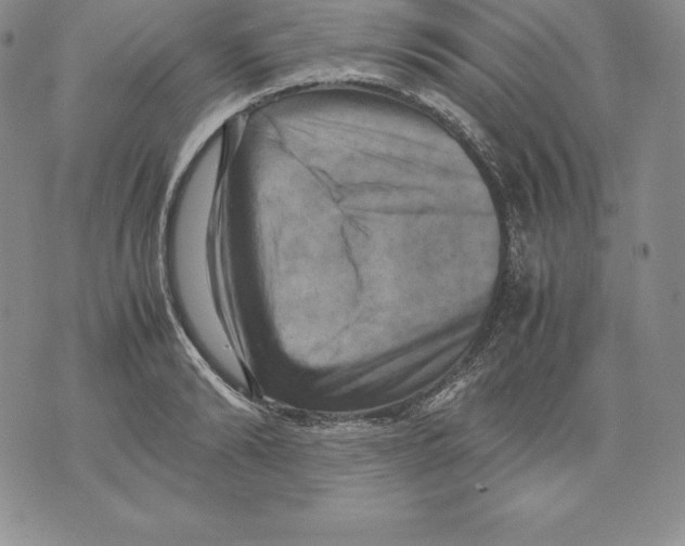 X0000071780894200607282235