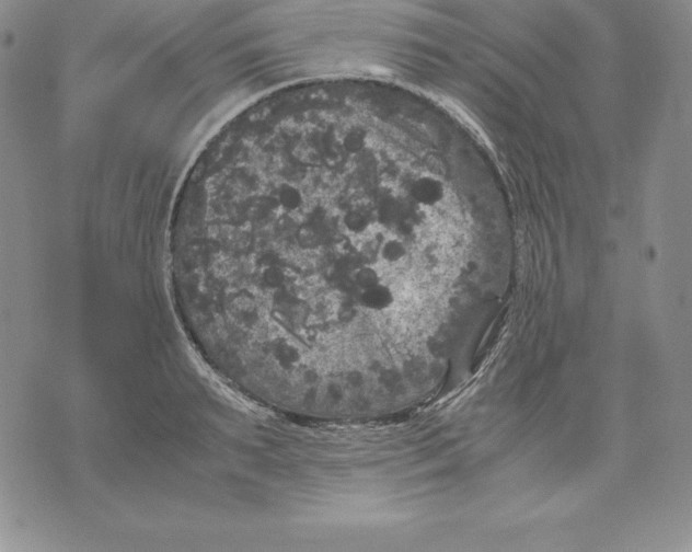 X0000071780895200607282235