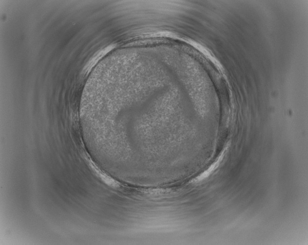 X0000071780897200607282235