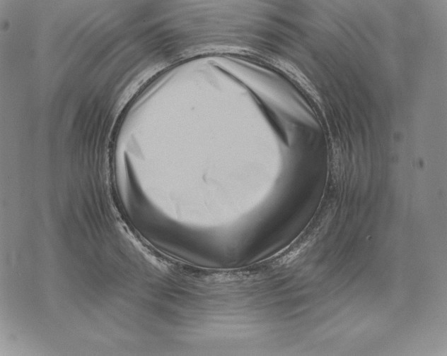 X0000071780898200607282235