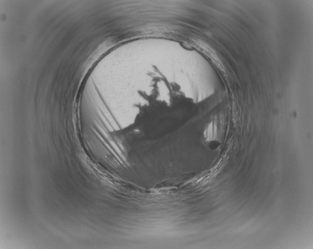 X0000071780899200607282235