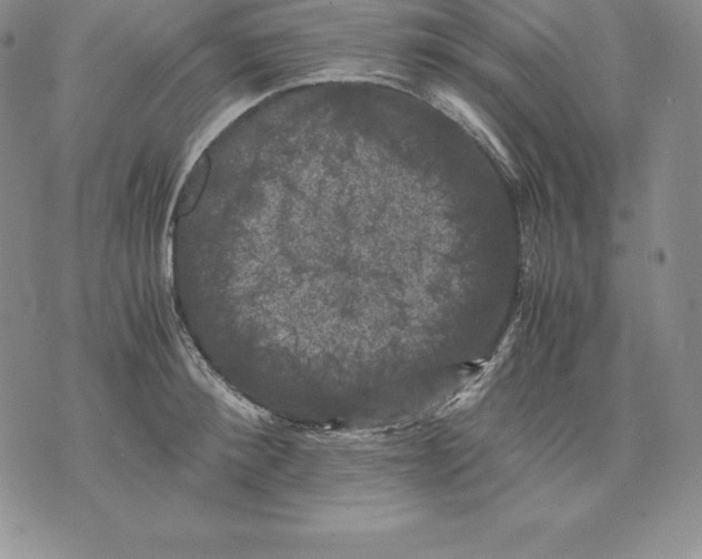 X0000071780900200607282235