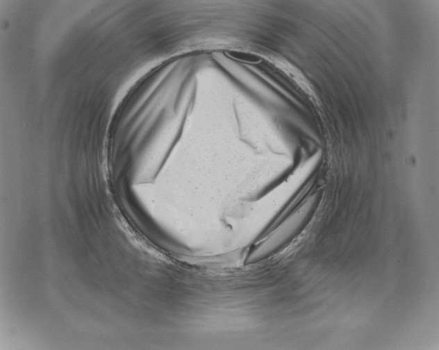 X0000071780904200607282235