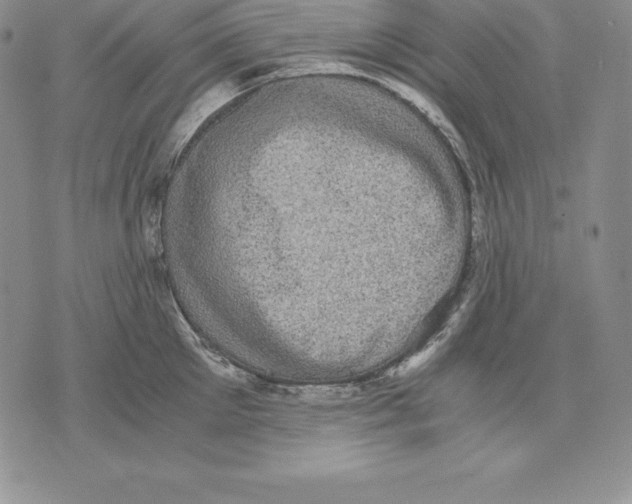 X0000071780905200607282235