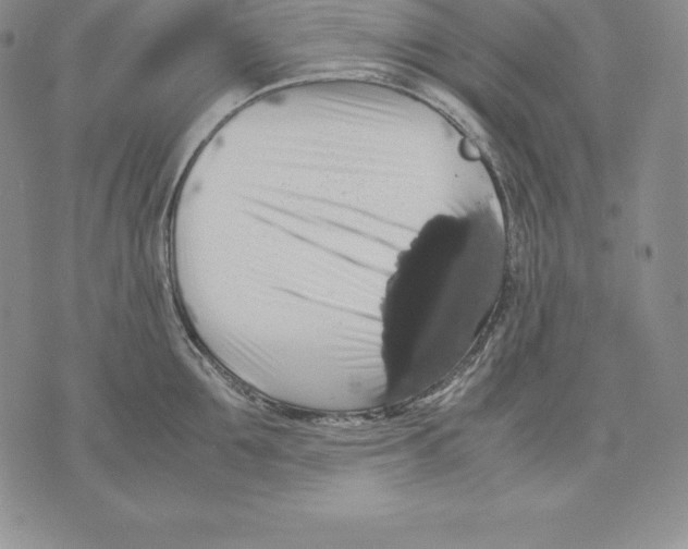 X0000071780907200607282235