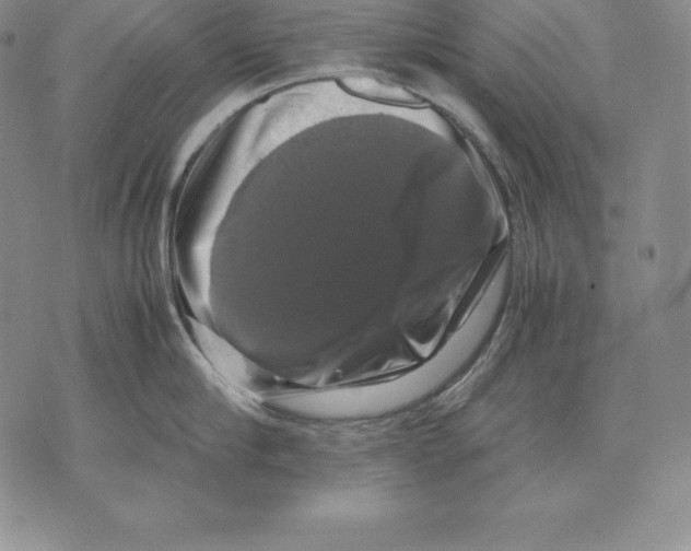 X0000071780910200607282235