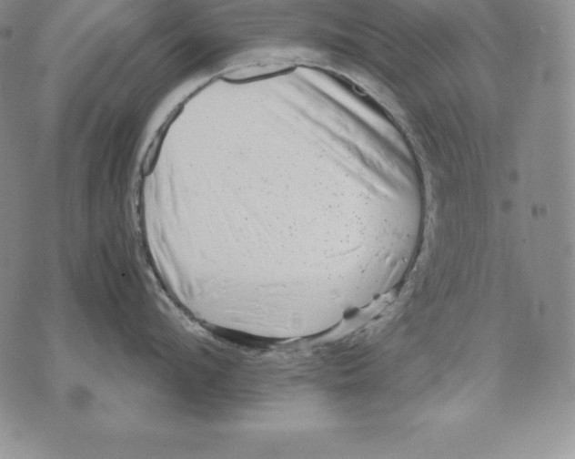 X0000071780912200607282235