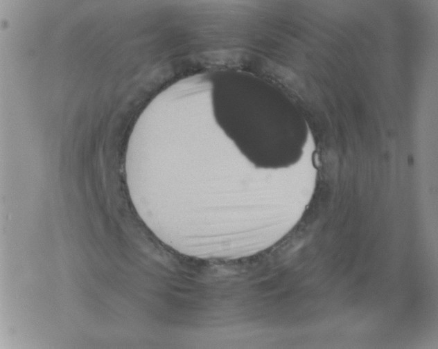 X0000071780913200607282234