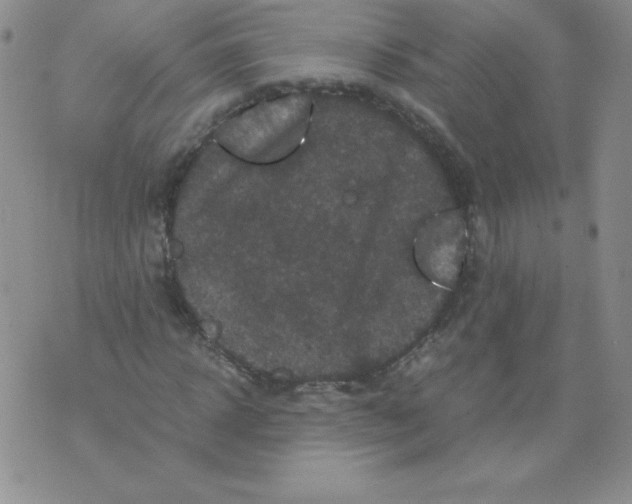 X0000071780918200607282234