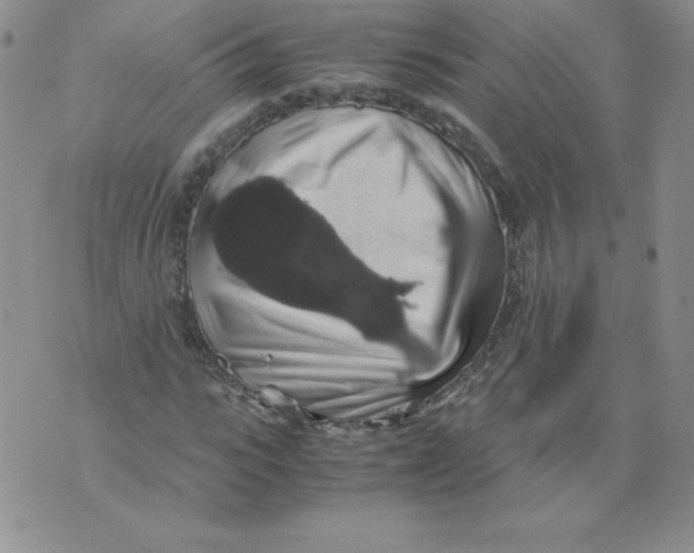 X0000071780919200607282234