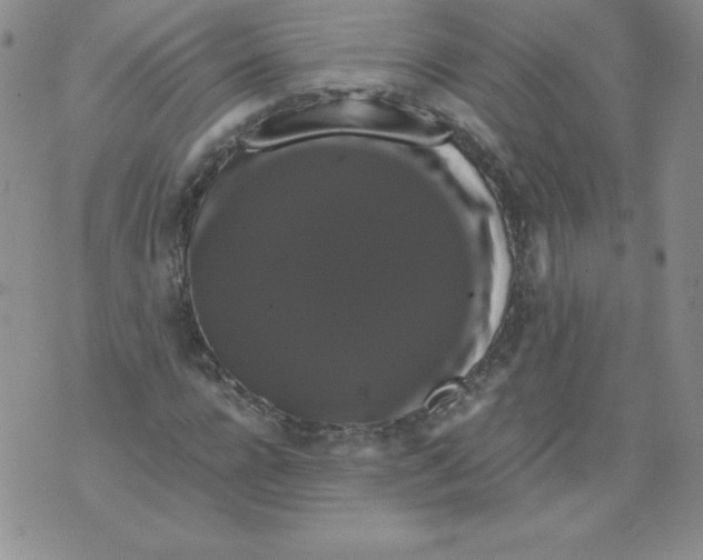 X0000071780920200607282234