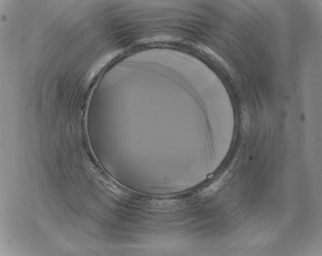 X0000071780921200607282234