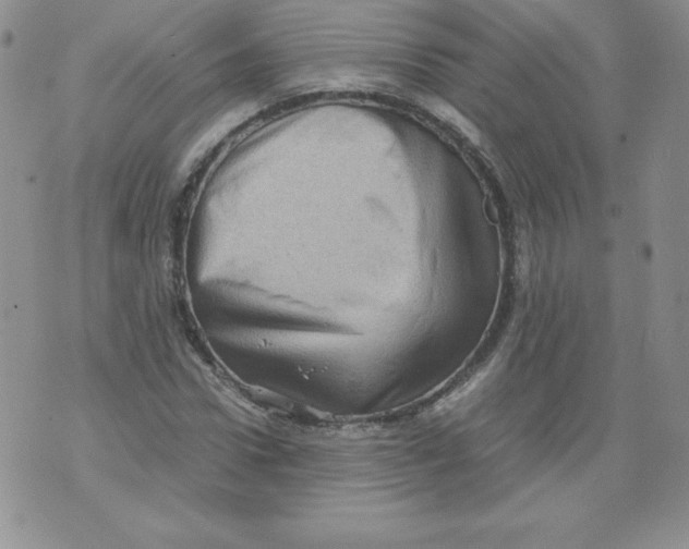 X0000071780922200607282234