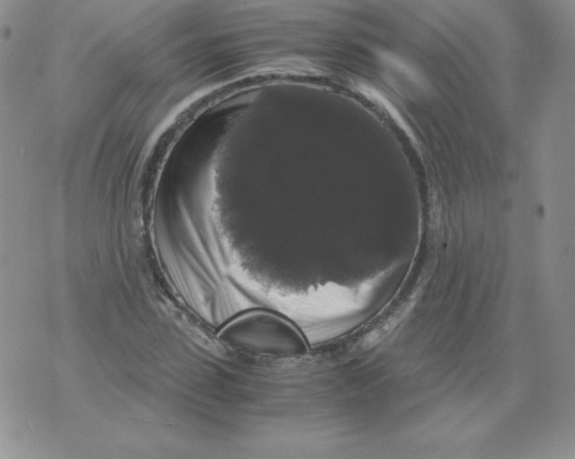 X0000071780923200607282234