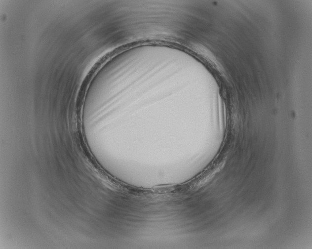 X0000071780924200607282234