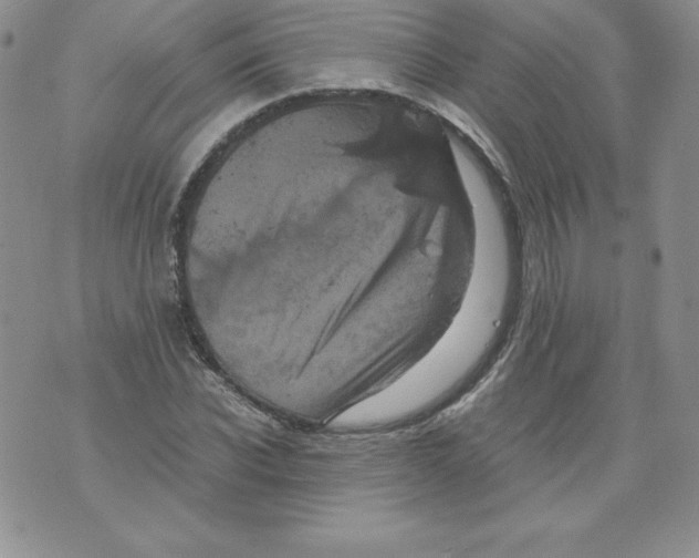 X0000071780926200607282234