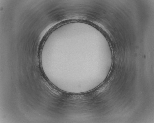 X0000071780927200607282234