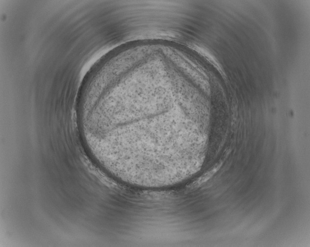 X0000071780928200607282234