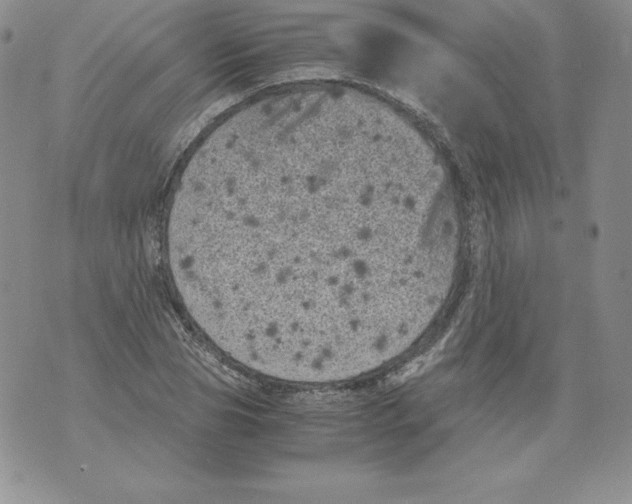 X0000071780929200607282234