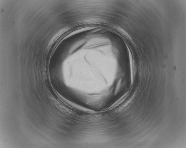 X0000071780930200607282234