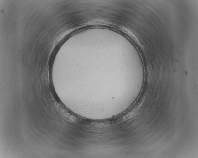 X0000071780931200607282234