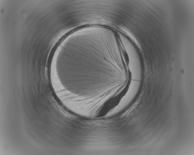 X0000071780932200607282234