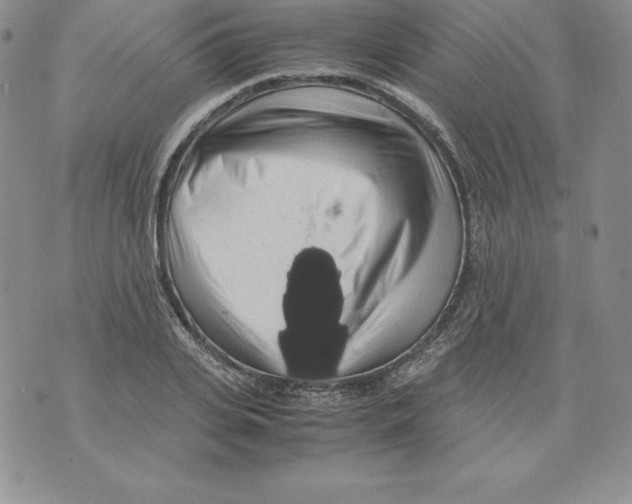 X0000071780935200607282234