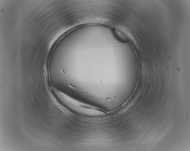 X0000071780936200607282234