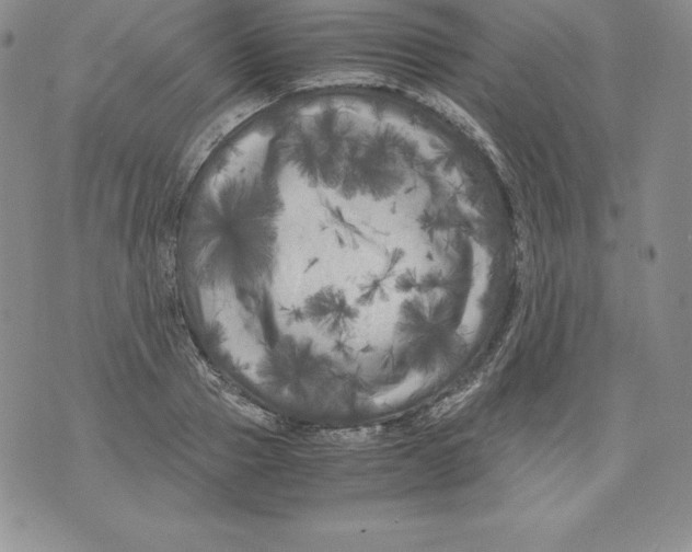 X0000071780937200607282234